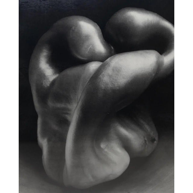 Photography Edward Weston "Bell Pepper" Poster C.1979 For Sale - Image 7 of 9