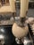 Elegant luxe pair of ostrich egg and silver plate candlesticks in the manner of Anthony Redmile.