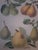 Bountiful Fruit - 4 Prints Mounted and Framed For Sale - Image 9 of 12