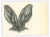 Paul Gervais, The Bat, Lithograph, 1854 For Sale