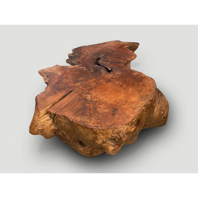Andrianna Shamaris Sculptural Teak Wood Coffee Table For Sale - Image 10 of 18