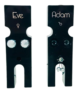 1970's Pop Art Radio Adam and Eve Anatomically Blessed Am Radio One Radio Attached by Wires