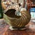 1970s Art Deco Nautilus Brass Shell Planter For Sale - Image 4 of 8