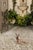 Mid-Century Modern 1950s French Vintage Seated Deer Painted Sculpture Cast in Reconstituted Stone For Sale - Image 3 of 8