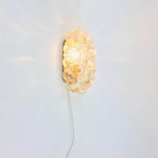 Mid-Century Amber Bubble Glass Wall Light attributed to Helena Tynell for Limburg, Germany, 1960s For Sale - Image 5 of 9