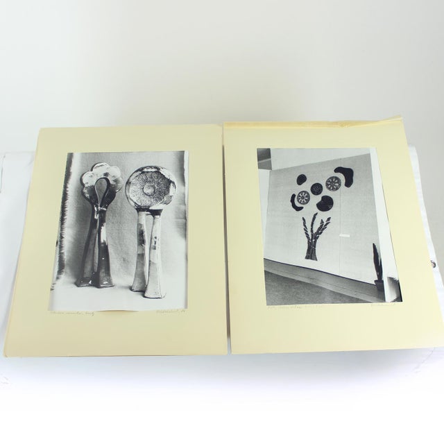 Ceramic Artwork by Ditta Abrhamova, Czechoslovakia, 1980s, Large Photographs, Set of 2 For Sale - Image 7 of 12