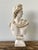 Grand Tour Ceramic Apollo Belvedere Bust Sculpture For Sale - Image 3 of 18