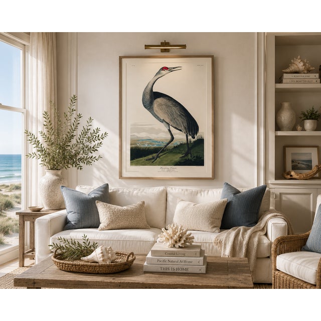 Illustration Whooping Crane, Vintage Art Print Reproduction From Birds of America by John James Audubon, 40" X 60" For Sale - Image 3 of 8