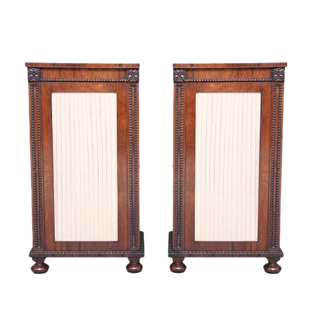 Rosewood Pedestal Cabinets, 1830s, Set of 2 For Sale