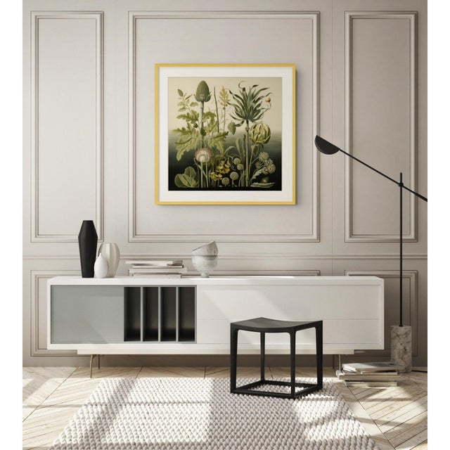 This fine art print reproduces a beautifully detailed 19th-century botanical illustration depicting an elegant arrangement...