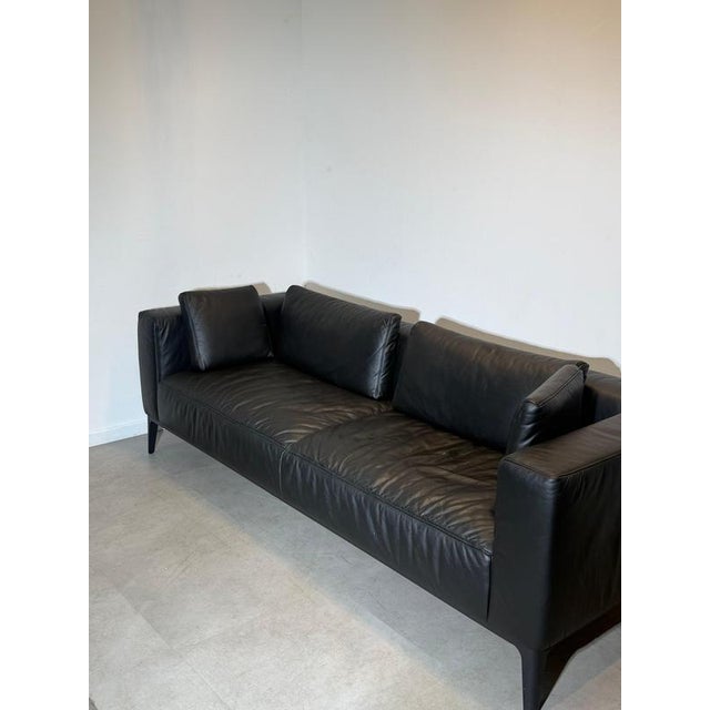 Indera 3-Seater Sofa in Black Leather For Sale - Image 6 of 8