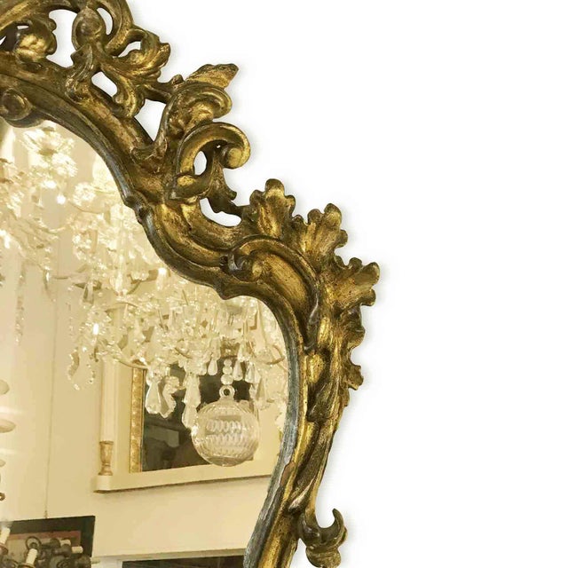 Carved Mecca Gilt Wood Mirrors, Set of 2 For Sale - Image 3 of 7