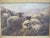 Robert Watson (UK 1855-1921) antique, early 20th century oil painting in elaborate period gilt frame. Highland sheep...