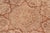 1990s Floral 1990's Pak-Persian Tan/Brown Wool Rug - 8'1'' X 10'3'' For Sale - Image 5 of 9