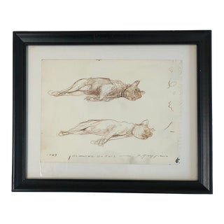 Tony Griffin, Nc Artist - 1989 Double Study of a Boston Terrier Dog, Blanche Dubois Drawing For Sale