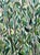 2020s Jennifer Lively “Forest Ride” Contemporary Horse Riding Figure Through Green Foliage, 2022 For Sale - Image 5 of 11