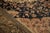 Traditional Antique Fine Malayer Carpet - 7'5" X 9'9" For Sale - Image 3 of 14