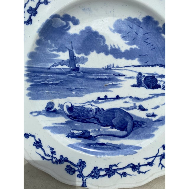 English blue & white plate Rat Brown Westhead and Moore, circa 1890. Was sold in the Grand Depot 21 rue Drouot Paris....