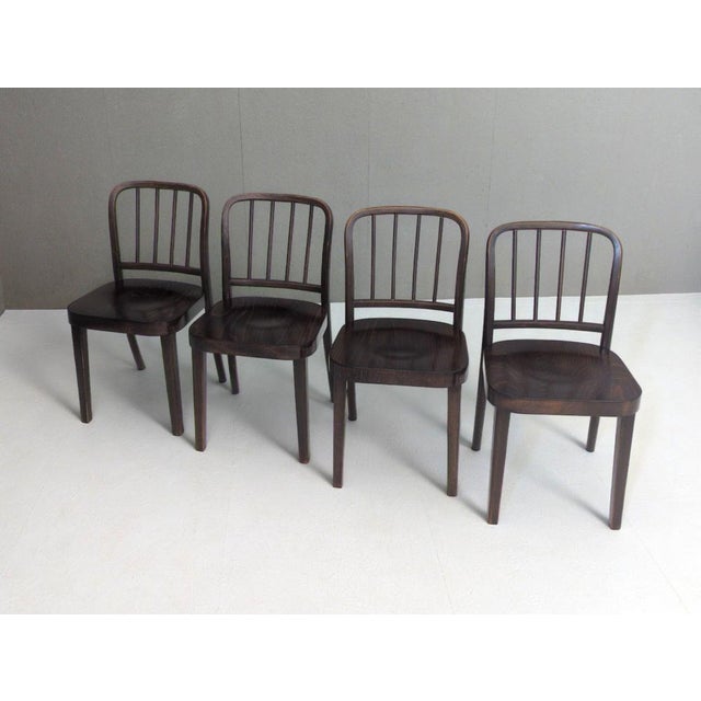 Modern 811/4 Dining Chairs by Josef Hoffmann for Thonet, 1930s, Set of 4 For Sale - Image 3 of 17