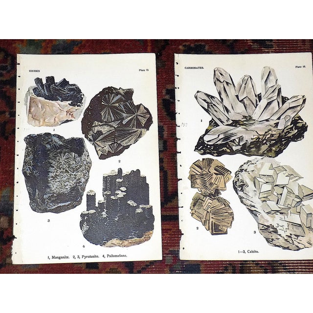 Realism Antique 1916 Mineral Lithographs - Set of 12 For Sale - Image 3 of 8