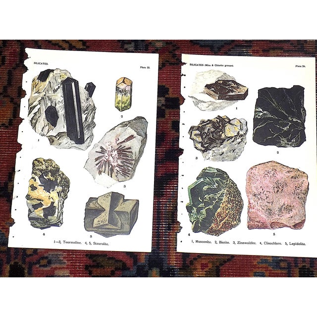 Authentic Antique 1916 Mineral Lithographs - Set of 12 For Sale In Cincinnati - Image 6 of 8