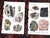 Authentic Antique 1916 Mineral Lithographs - Set of 12 For Sale In Cincinnati - Image 6 of 8