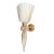 Luzi Wall Lamp in White Murano Glass and Pure Gold by Bottega Veneziana For Sale - Image 4 of 5