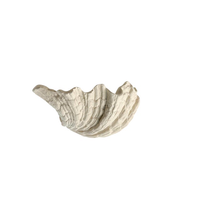 1970s Large Vintage Plaster Organic Sea Shell Wall Light, 1970s For Sale - Image 5 of 10