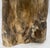 Petrified Wood Organic Shape Multicolor Beige to Black Stand End Table Pedestal