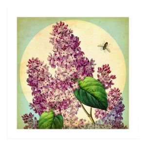 Reproduction of Antique 'May Lilacs' Archival Print