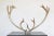Vintage Scandinavian attached Reindeer Antler Trophy from Northern Sweden. Exceptionally beautiful shape and proportions....