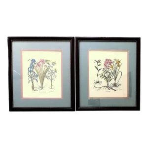 Pair of Framed Botanical Lithograph Prints Floral Flowers Still Life Iris Irises