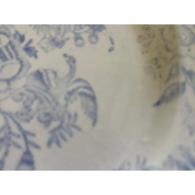 Mid 19th Century Asiatic Pheasant Dinner Plate For Sale - Image 4 of 12