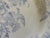 Mid 19th Century Asiatic Pheasant Dinner Plate For Sale - Image 4 of 12