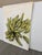 Contemporary Ears of Corn Acrylic on Canvas Painting, Unsigned For Sale - Image 3 of 12