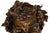 Italian Realist Bronze Bust of a Satyr Faun Attributed to Vincenzo Gemito For Sale - Image 15 of 18