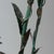 Italian Lantern, 19th Century For Sale - Image 3 of 6