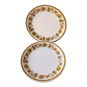 Vintage Mikasa Cera Stone Eastwood Dinner Plates- Set of 5