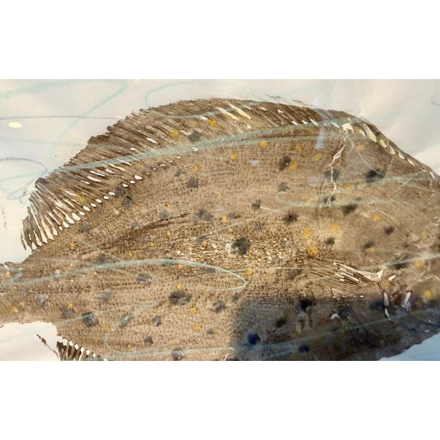 Japanese Vintage Original Gyotaku Fish Print “Windowpane” by David J. Denick | Framed Coastal Fishing Art, Signed For Sale - Image 3 of 12
