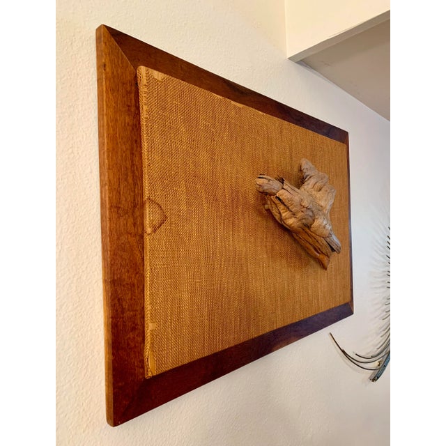 Vintage California Driftwood Sculpture Art For Sale - Image 10 of 13