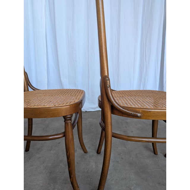 Mid-Century Modern Bentwood Cane Dining Chairs, 1970s, Set of 4 For Sale - Image 12 of 18
