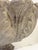 English Garden Stone Planter Pot or Urn With Acanthus Relief - Three Available For Sale - Image 10 of 11