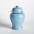 In an unexpected smaller size for traditional ginger jars, this is a modern take on a classic. The soft blue high gloss...