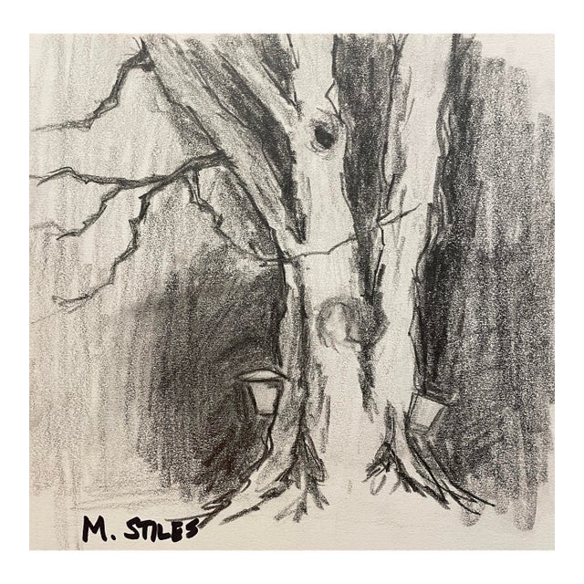 Martha Stiles Maple Tree Drawing For Sale