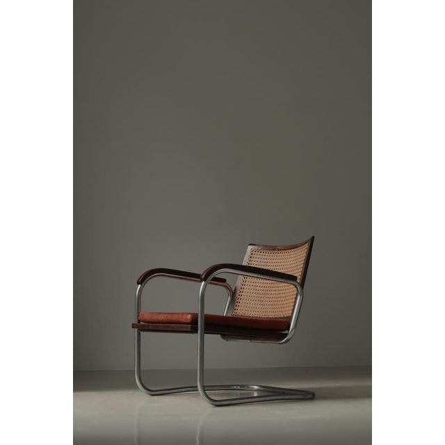 Modern Danish Funkis Chair S-102 in Steel, Cane & Leather attributed to Fritz Hansen, 1930s For Sale - Image 9 of 18