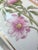 1960s 1960s Flora Danica Bowl by Royal Copenhagen // Malva Moschata L. // Exquisite Hand-Painted Fine China For Sale - Image 5 of 12
