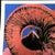 1990s After Andy Warhol "Bighorn Ram" Lithograph For Sale - Image 9 of 11