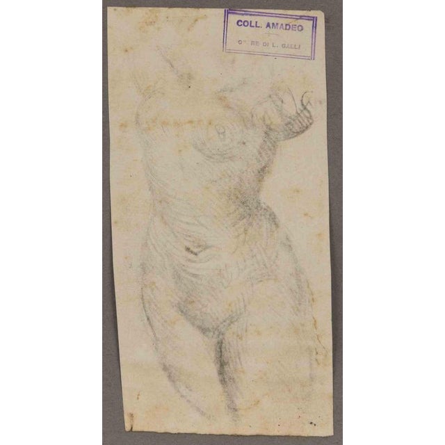 Anatomical studies is an original artwork realized by Luigi Galli in the late 19th Century. Pencil drawing on paper. The...