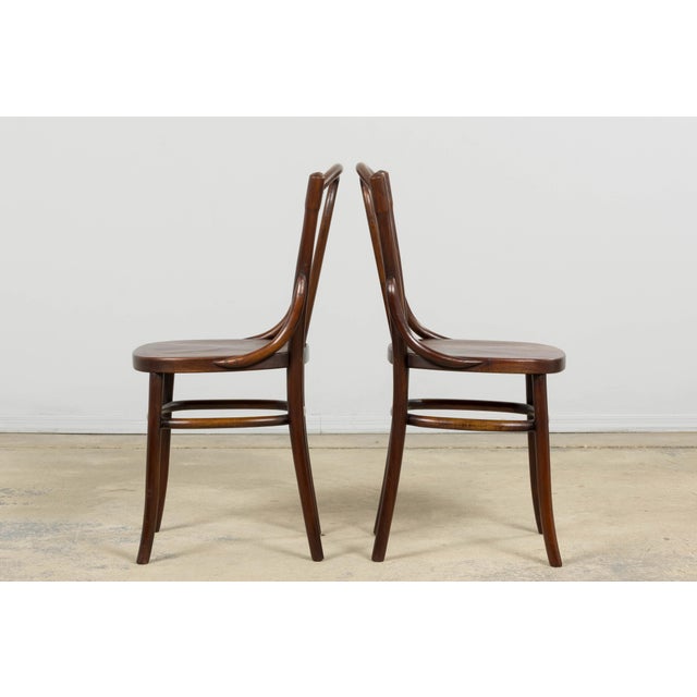 Set of 4 French Bentwood Bistro Dining Chairs, Provence, Mid-20th Century For Sale - Image 11 of 18