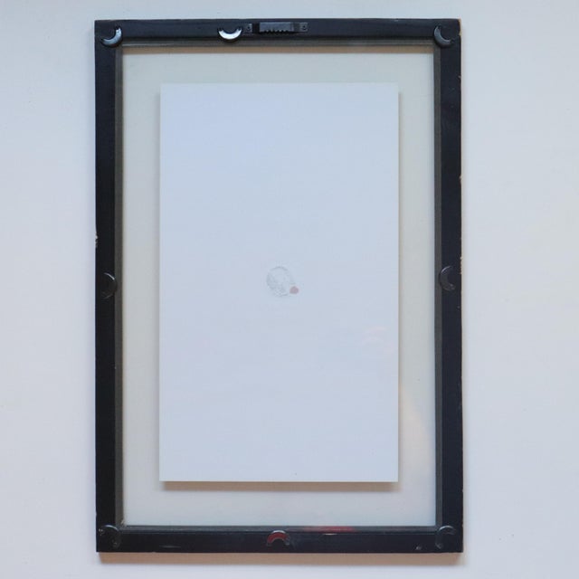 Contemporary Pair of Framed Swiss Herbarium Fern Facsimile Prints, 1948 & 1953 Specimens For Sale - Image 3 of 8